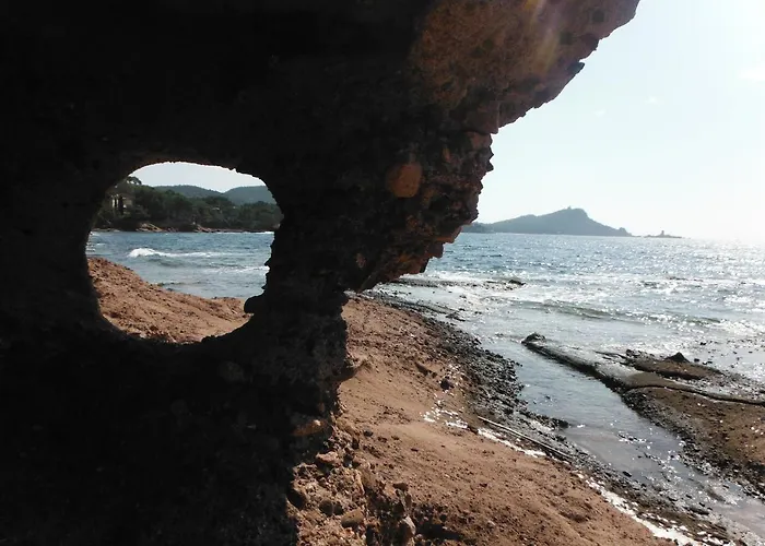 L'elephant Saint-Raphaël